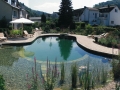 swimming ponds and natural swim ponds (6)