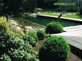 swimming ponds and natural swim ponds (8)